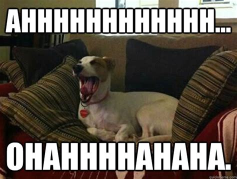 Ridiculously Yawning Dog Memes Quickmeme