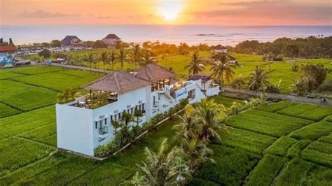 The Swell Canggu 2024 Prices And Reviews Hostelworld