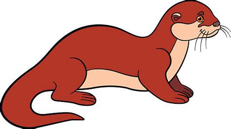 Best River Otter Illustrations Royalty Free Vector Graphics And Clip Art