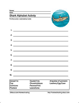 This option will let you remove the first word from each line in a list before putting it in to: Shark Wordsearch, Vocabulary, Crossword, and More