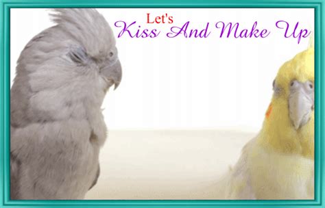 Cute Kissing Ecard Free Kiss And Make Up Day Ecards Greeting Cards 123 Greetings