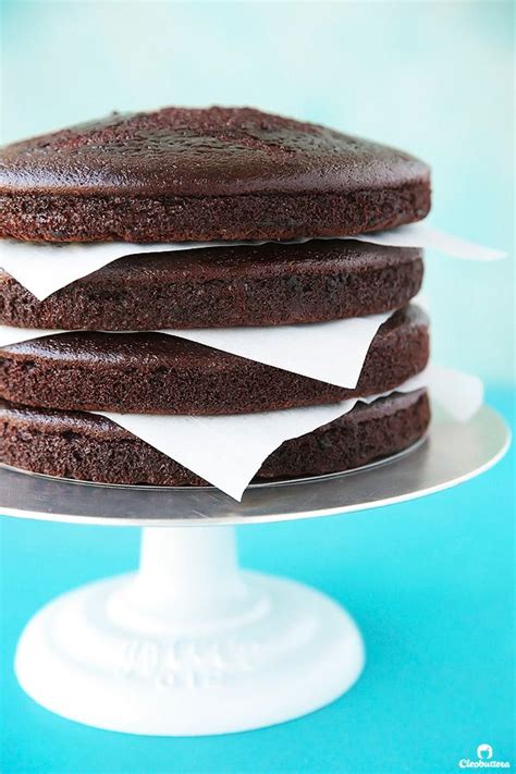 Epic 12 Layer Chocolate Cake Cleobuttera Recipe Chocolate Pastry Fudgy Chocolate Best