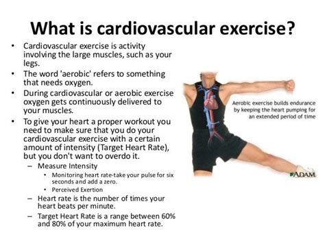 Endurance Training Cardiovascular Endurance Training