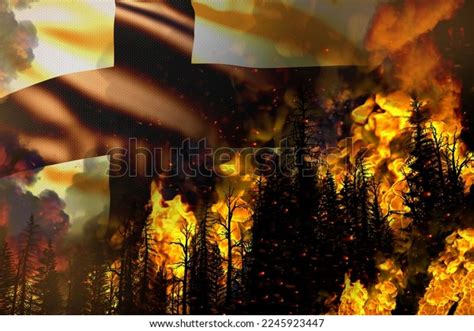 Big Forest Fire Fight Concept Natural Stock Illustration 2245923447