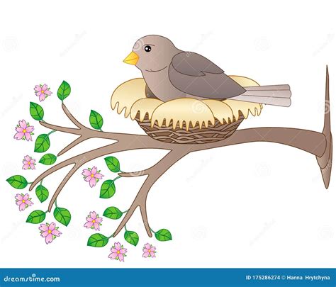 Bird Sits On A Nest Vector Linear Picture For Coloring A Small Bird