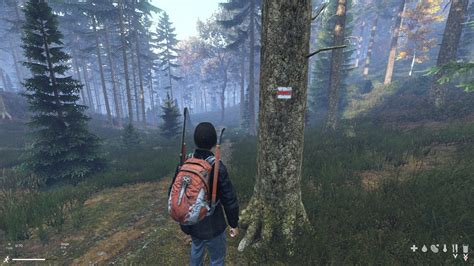 What Are These Markings On The Trees Dayz