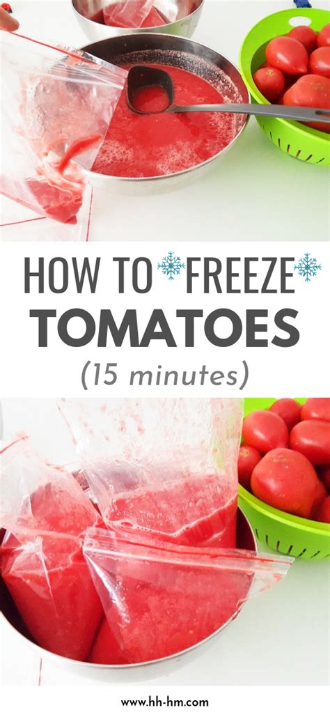 How To Freeze Tomato Sauce From Fresh Tomatoes Her Highness Hungry