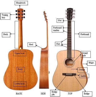 Mengenal Jenis Gitar Akustik Dan Electric Cara Mudah Belajar Main Gitar