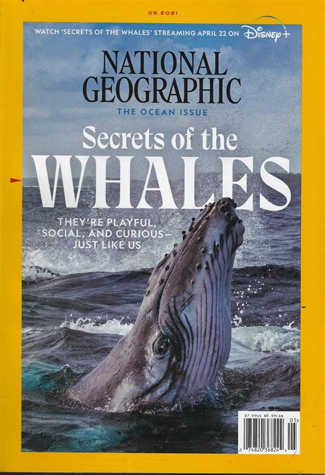 National Geographic Secrets Of The Whales May 2021 Etsy