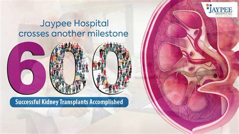 600 Successful Kidney Transplants In A Span Of 55 Years Jaypee