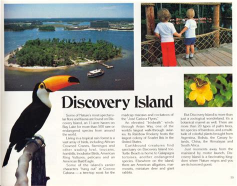 the final day of disney s discovery island