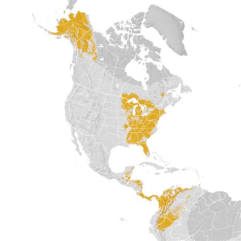 Gray Cheeked Thrush Range Map Post Breeding Migration Ebird Status