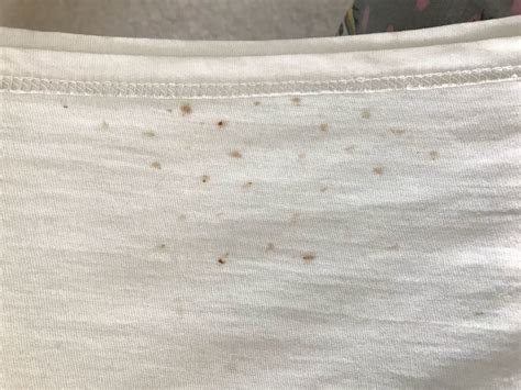 Stains On Clothes After Washing Expert Tips And Tricks