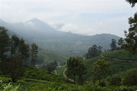 Munnar Mountain View Kerala India Stock Image Image Of Travel