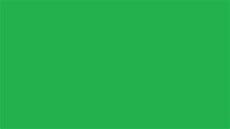 Green Screen wallpaper for 1 hour 60 minutes 16:9 - YouTube Discover prehistoric dinosaurs world and watch tyrannosaurus rex.