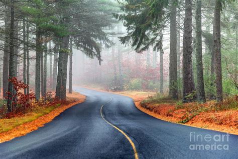 Scenic Winding Autumn Road Photograph By Denis Tangney Jr Fine Art
