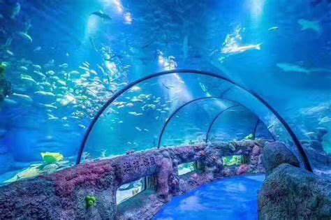 Sea Life Aquarium Chongqing