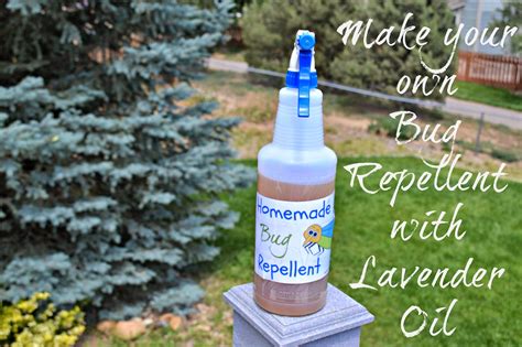 Further variations of the diy insect spray against mosquitoes and ticks. How to Make Homemade Bug Repellent #DIY | Building Our Story