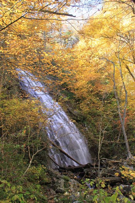 Последние твиты от the cabins at crabtree falls (@cabincfalls). Crabtree Falls - A Waterfall Hike Off The Blue Ridge Parkway