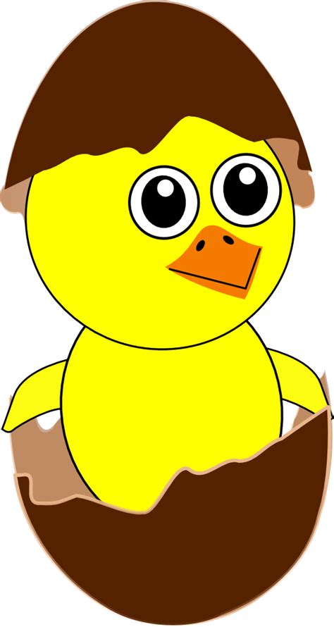 Free Cartoon Baby Chicken Download Free Cartoon Baby Chicken Png