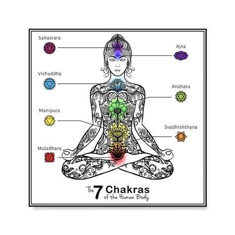 The base chakra ( brown): The 7 Chakras of the Human Body Poster - EzPosterPrints