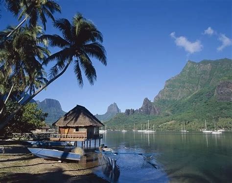 Cooks Bay Moorea French Polynesia South Pacific 1653331