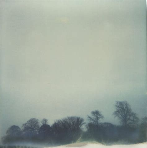 A Polaroid Photograph Of Trees In The Distance On A Foggy Overcast Day