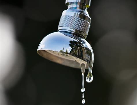 The first step is to diagnose the cause of a leaky showerhead. Can I fix my leaking shower?