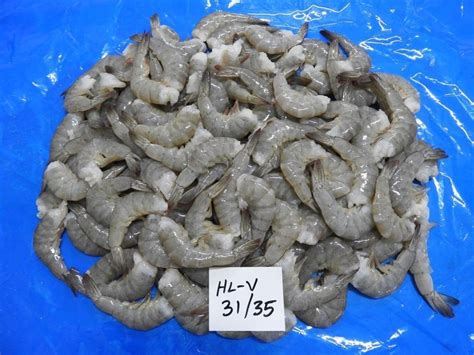 Headless Vannamei Prawns Shrimps Block At Best Price In Chennai