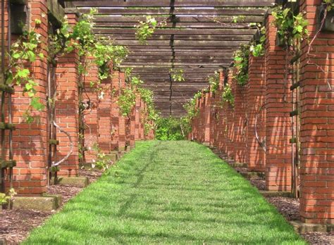 First, let's start off with the dimensions. Ohio Grape Arbor Photograph by Sue Olson