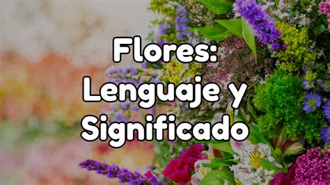 El Lenguaje De Las Flores Y Los Mensajes Ocultos De La Floriografía