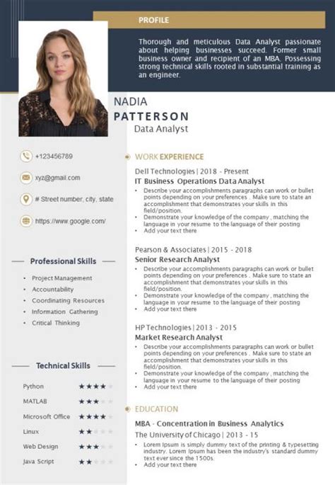 Personal Profile Template Professional Profile Resume