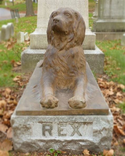 People Have Been Leaving Sticks On This Dogs Grave Who Died 100 Years