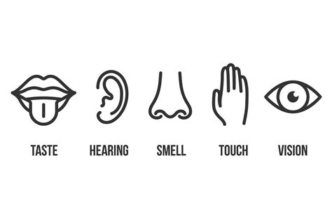 Vision Hearing Smell Touch Taste Dental Logo Design Visions Hearing