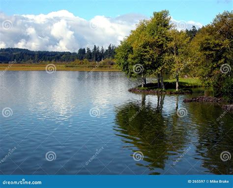 Calm Day At The Lake Stock Image Image Of Clouds Tree 265597