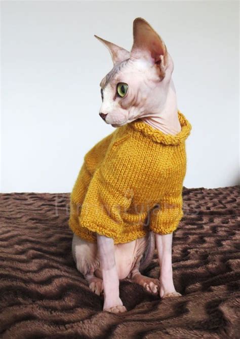 Hairless Cats Have Evolved To Be Self Aware So They Can Tell If They