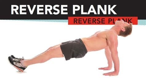 Reverse Plank Exercise Guide And Tips Bodybuilding Wizard
