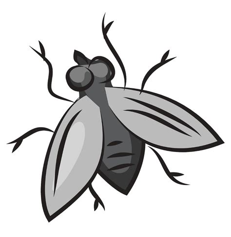 Download High Quality Fly Clipart Transparent Png Images Art Prim