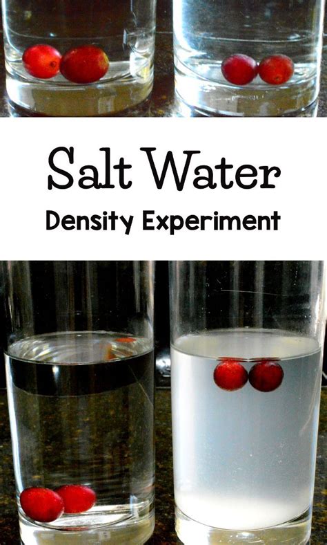 Do Grapes Sink Or Float Salt Water Density Experiment Science