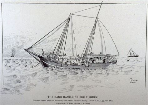 The Bank Hand Line Cod Fishery Schooner Penobscot Bay History Online