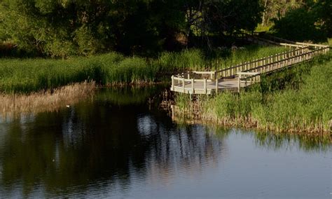 We did not find results for: Bluff Lake Nature Center - Wildlife Refuge, Outdoor Classroom