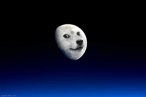 7 Space Doge Wallpapers In Hd 🚀 Doge Much Wow