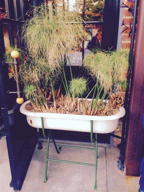 Porcelain washtubs like these, once common throughout central europe. Delicious Industrial Decor Makes Eating at the Lark ...