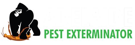 Over 3,234 pest exterminator pictures to choose from, with no signup needed. Termite Pest Control | Pest Exterminators Adelaide