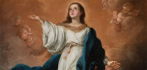 Fr Franks Homily The Solemnity Of The Assumption Of The Blessed Virgin Mary Catholic Outlook