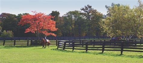 Luxury listing of the day: Equestrian paradise in Dutchess County, N.Y.