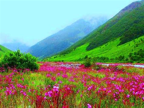 Valley Of Flowers National Park Uttarakhand India Valley Of