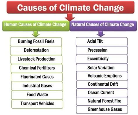 Ten Main Causes Of Climate Change Natural And Human Causes