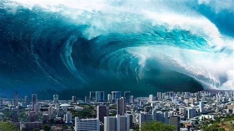 Tsunami Professor Kim A Marine Geologist Recognizes The Impending