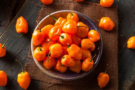 Habanero Peppers 101 Your Complete Guide Pepperscale